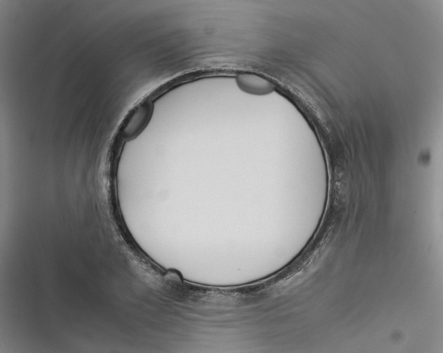 X0000116370981201001131744