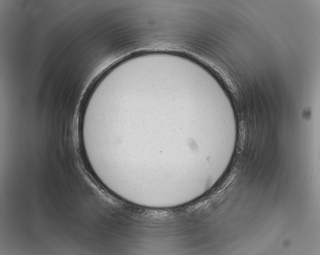 X0000116370982201001131744