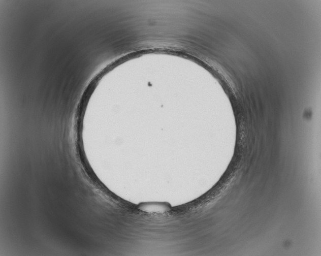 X0000116370983201001131744