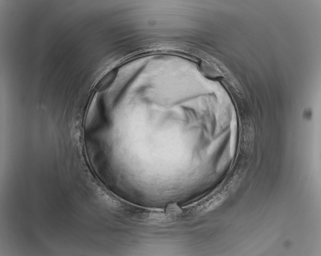 X0000116370985201001131744