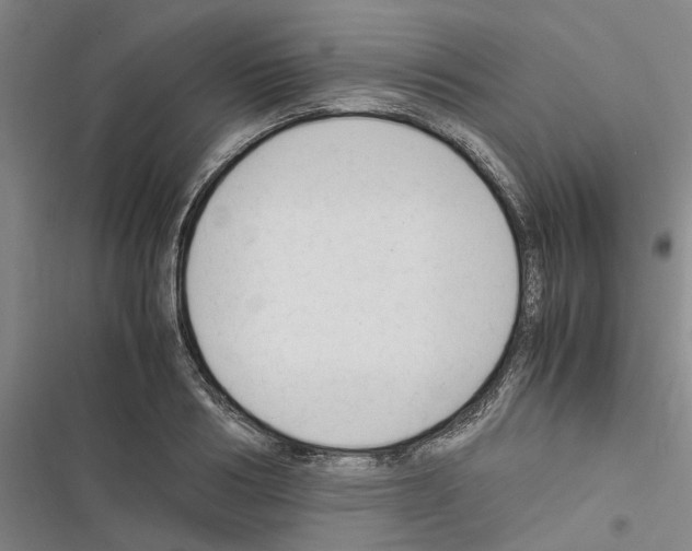 X0000116370986201001131744