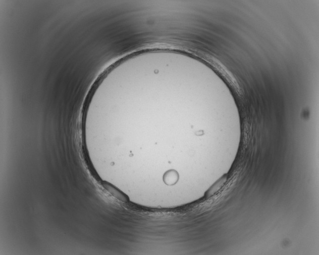 X0000116370988201001131744