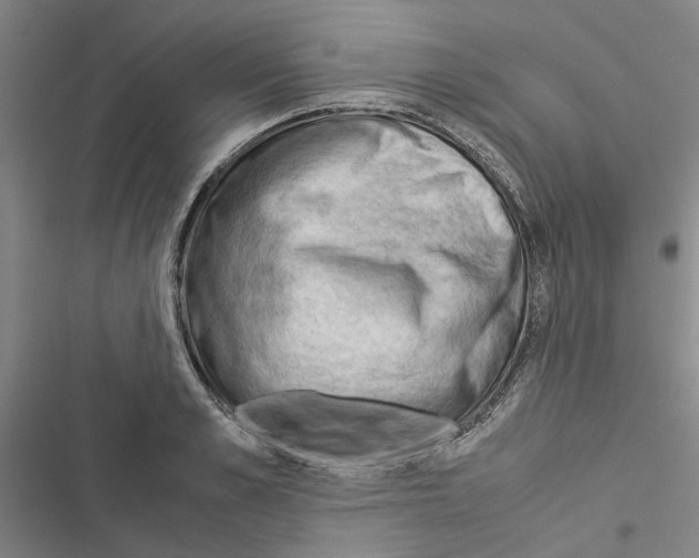 X0000116370989201001131744