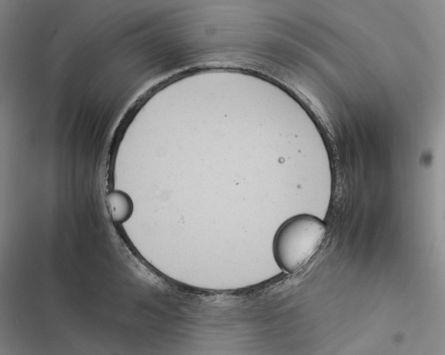 X0000116370992201001131744