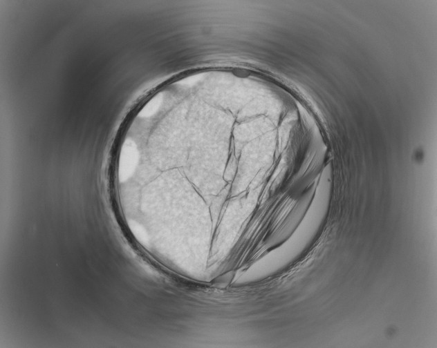 X0000116370995201001131744