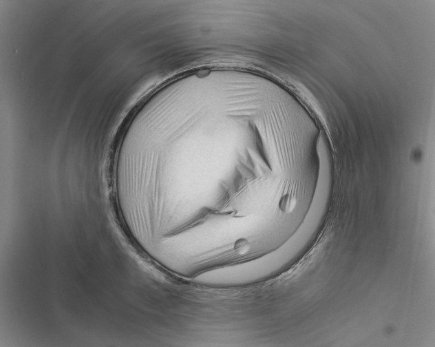 X0000116370997201001131744