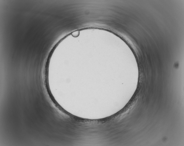 X0000116370999201001131744