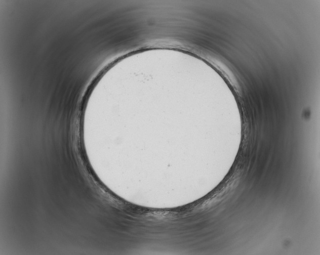 X0000116371000201001131743