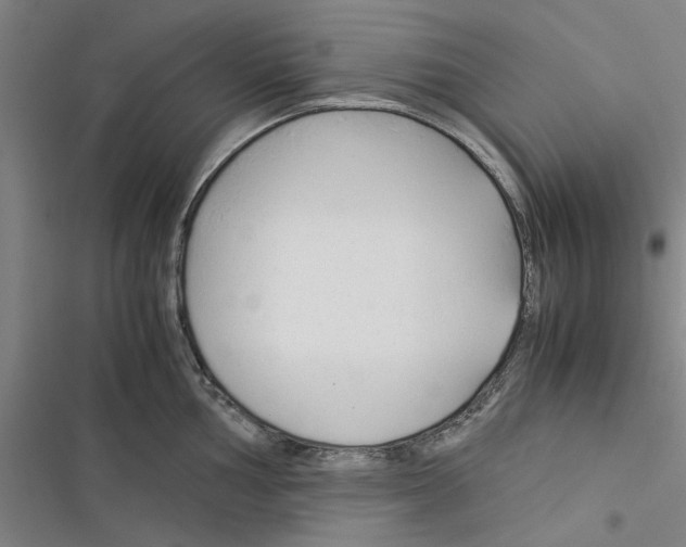 X0000116371002201001131743