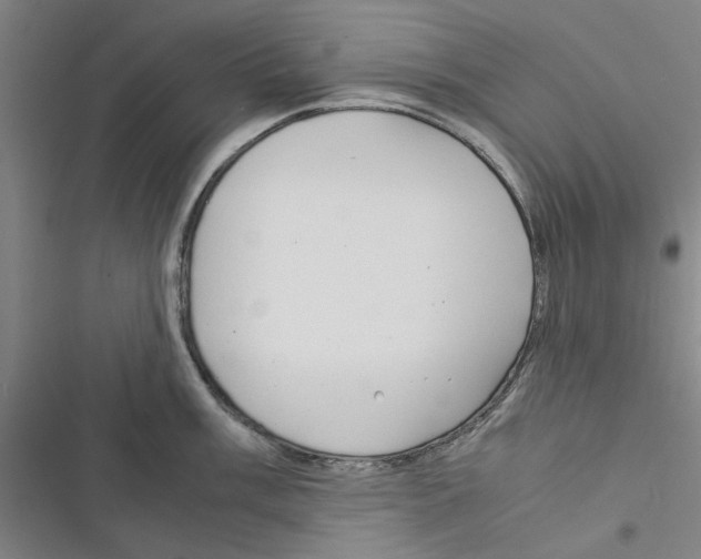 X0000116371003201001131743