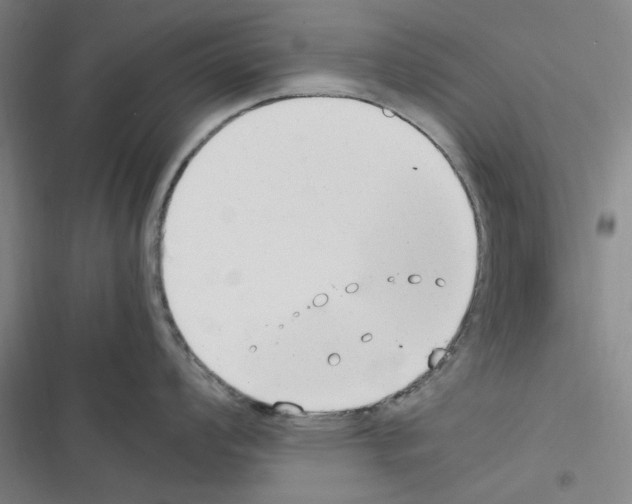 X0000116371008201001131743