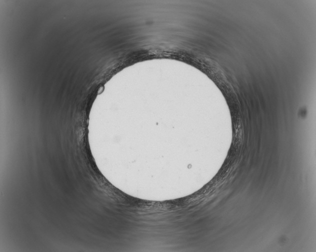 X0000116371012201001131743