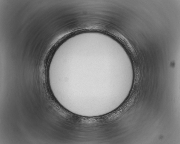 X0000116371019201001131743