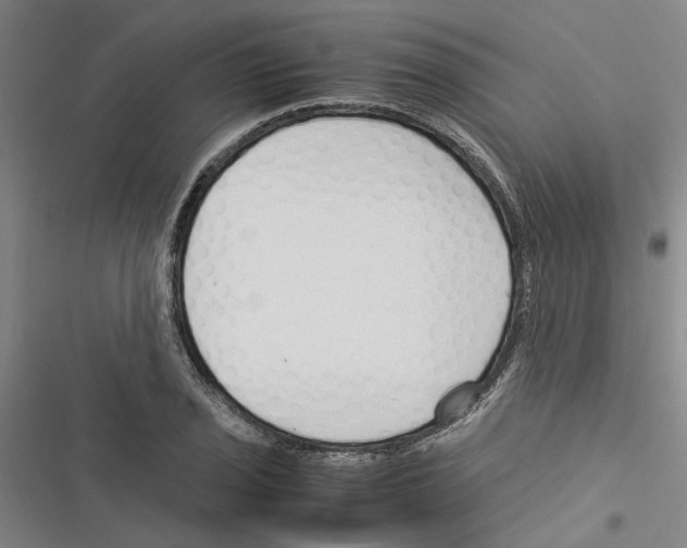 X0000116371029201001131743