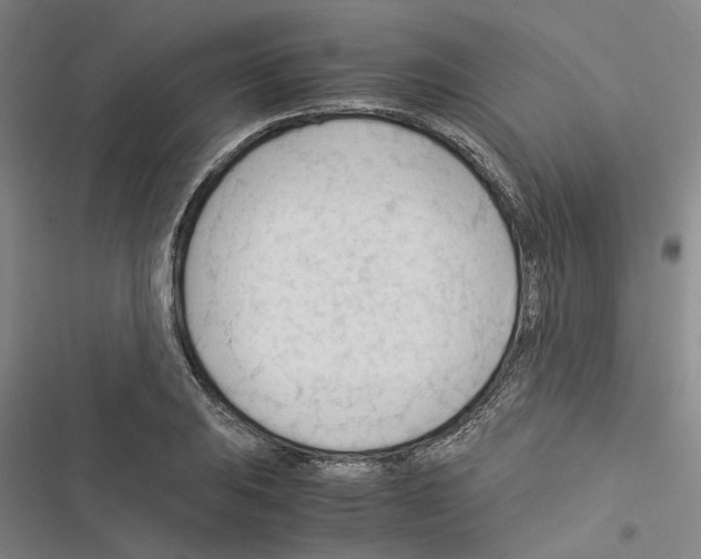 X0000116371031201001131743