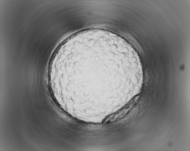 X0000116371036201001131743