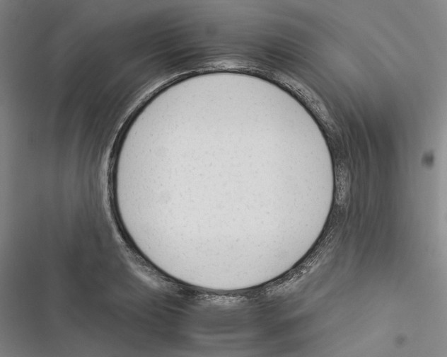 X0000116371039201001131743