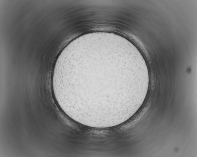 X0000116371041201001131743