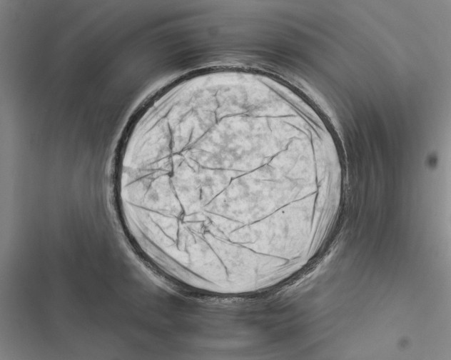 X0000116371045201001131743