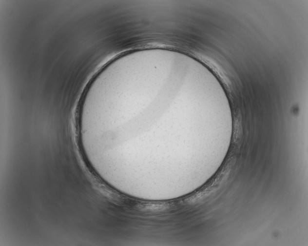 X0000116371047201001131743