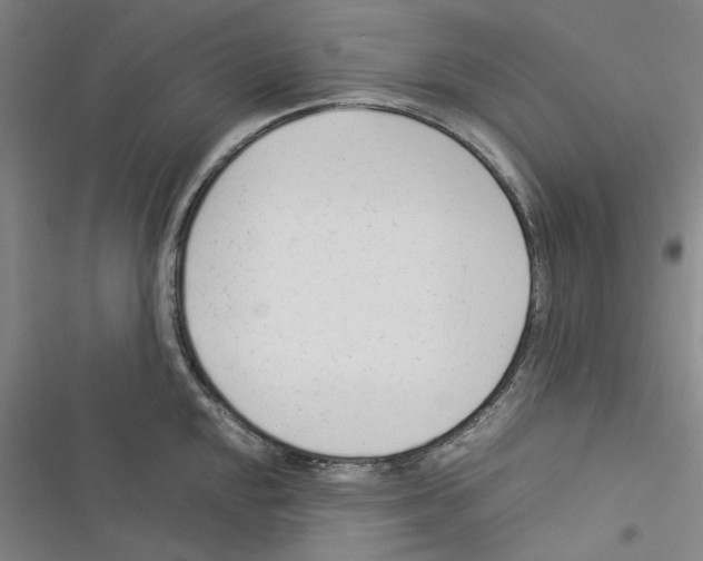 X0000116371048201001131743