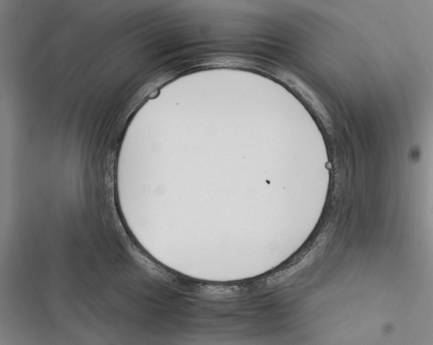 X0000116371049201001131743