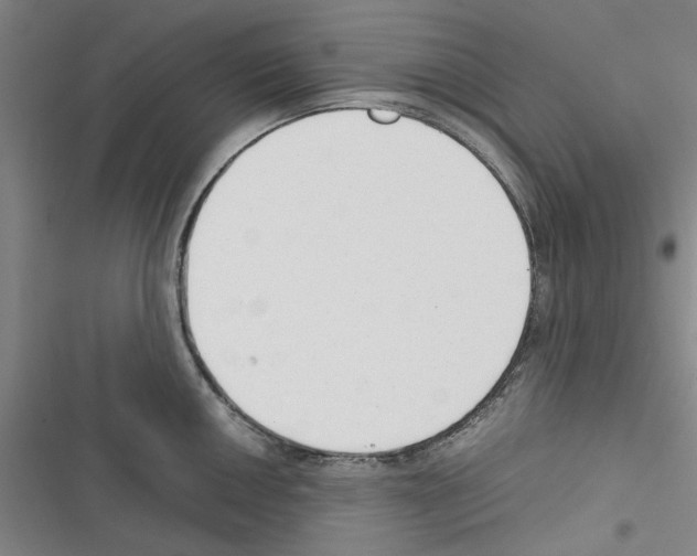 X0000116371050201001131743