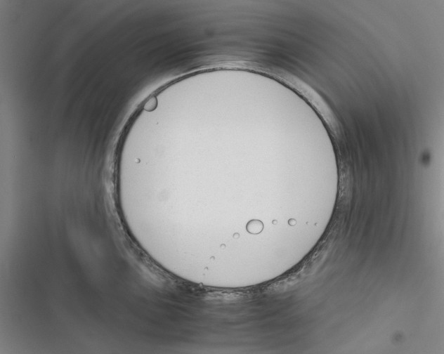 X0000116371051201001131743