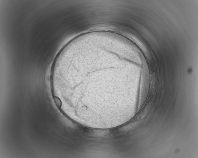 X0000116371055201001131743