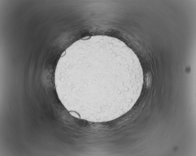 X0000116371059201001131743