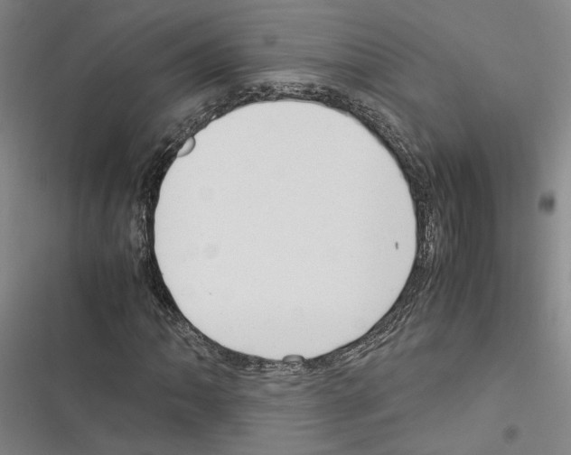 X0000116371062201001131743