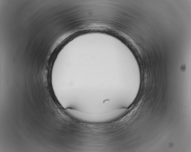 X0000116371066201001131743