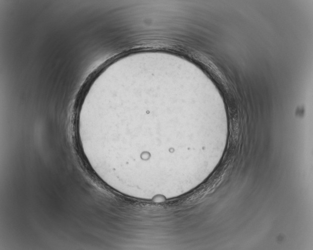 X0000116371071201001131743