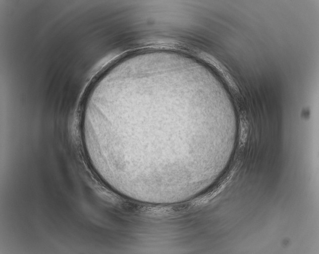 X0000116371074201001131742