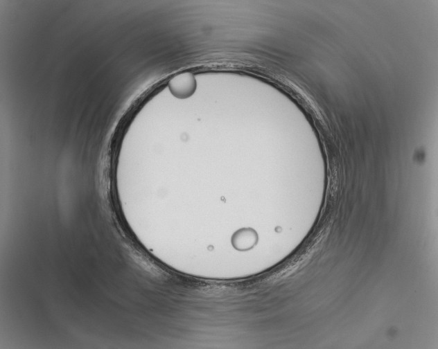 X0000116371075201001131742