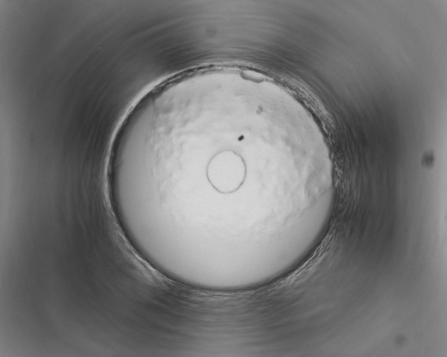 X0000116371076201001131742