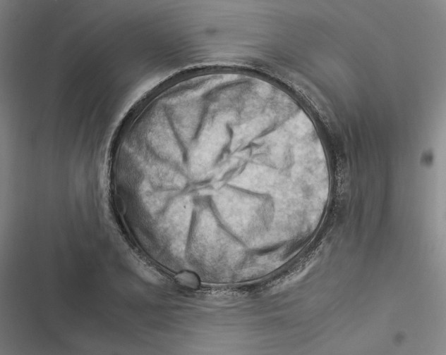 X0000116371077201001131742