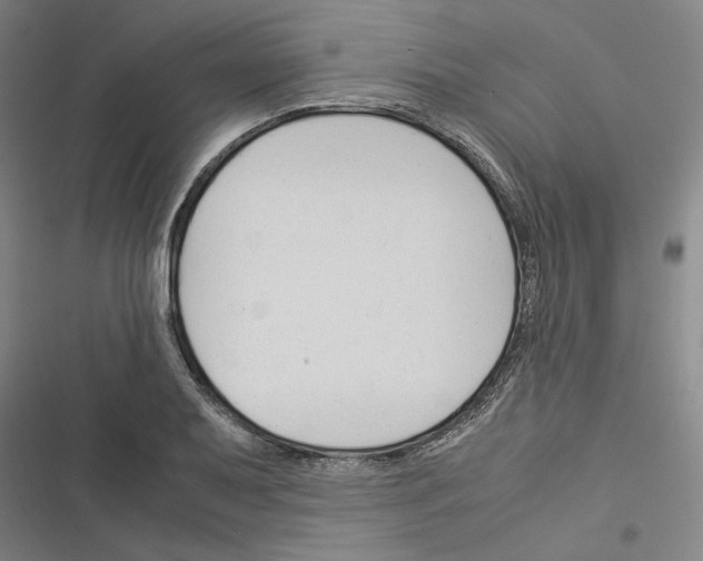 X0000116371079201001131742