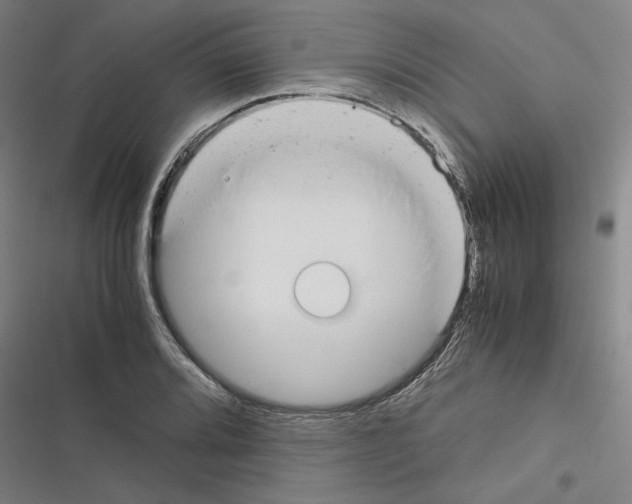 X0000116371080201001131742