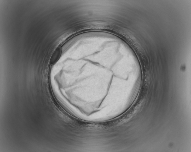 X0000116371081201001131742