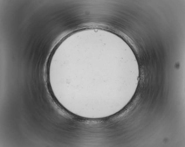 X0000116371082201001131742