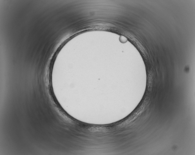 X0000116371083201001131742