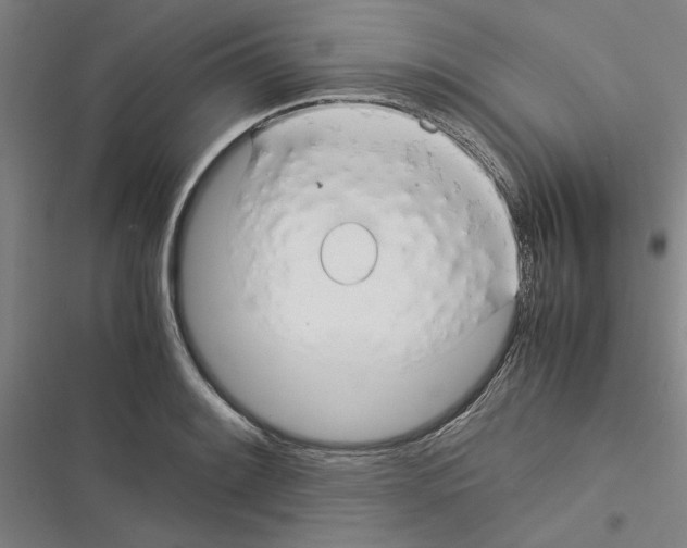 X0000116371084201001131742