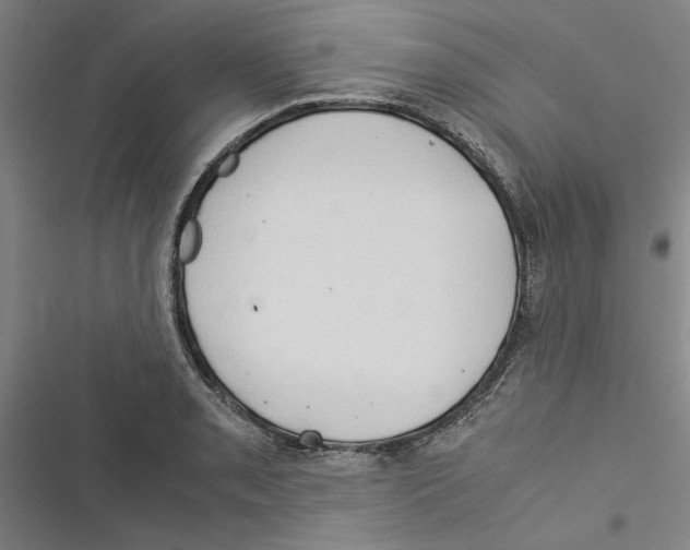 X0000116371085201001131742