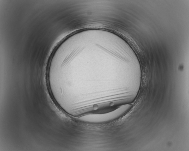 X0000116371086201001131742