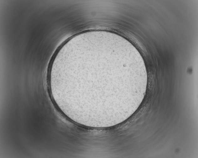 X0000116371087201001131742