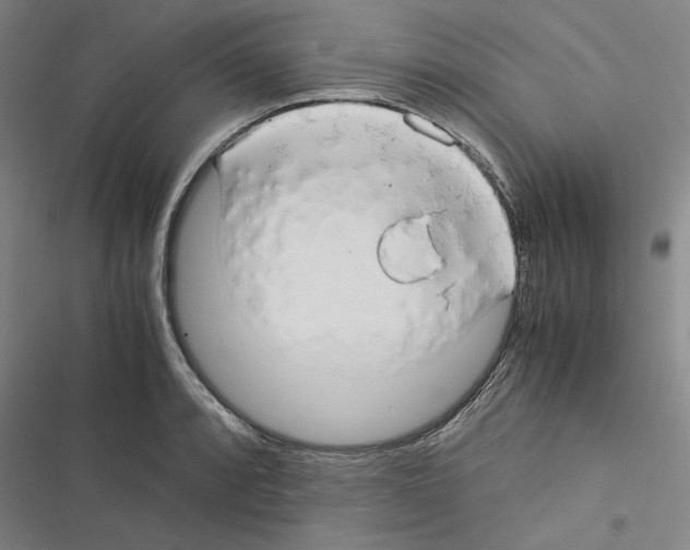 X0000116371088201001131742