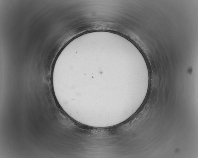 X0000116371089201001131742