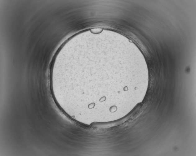 X0000116371092201001131742