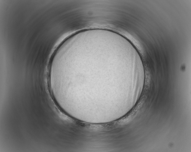 X0000116371094201001131742